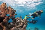 Adventure of the Seas Gallery Image